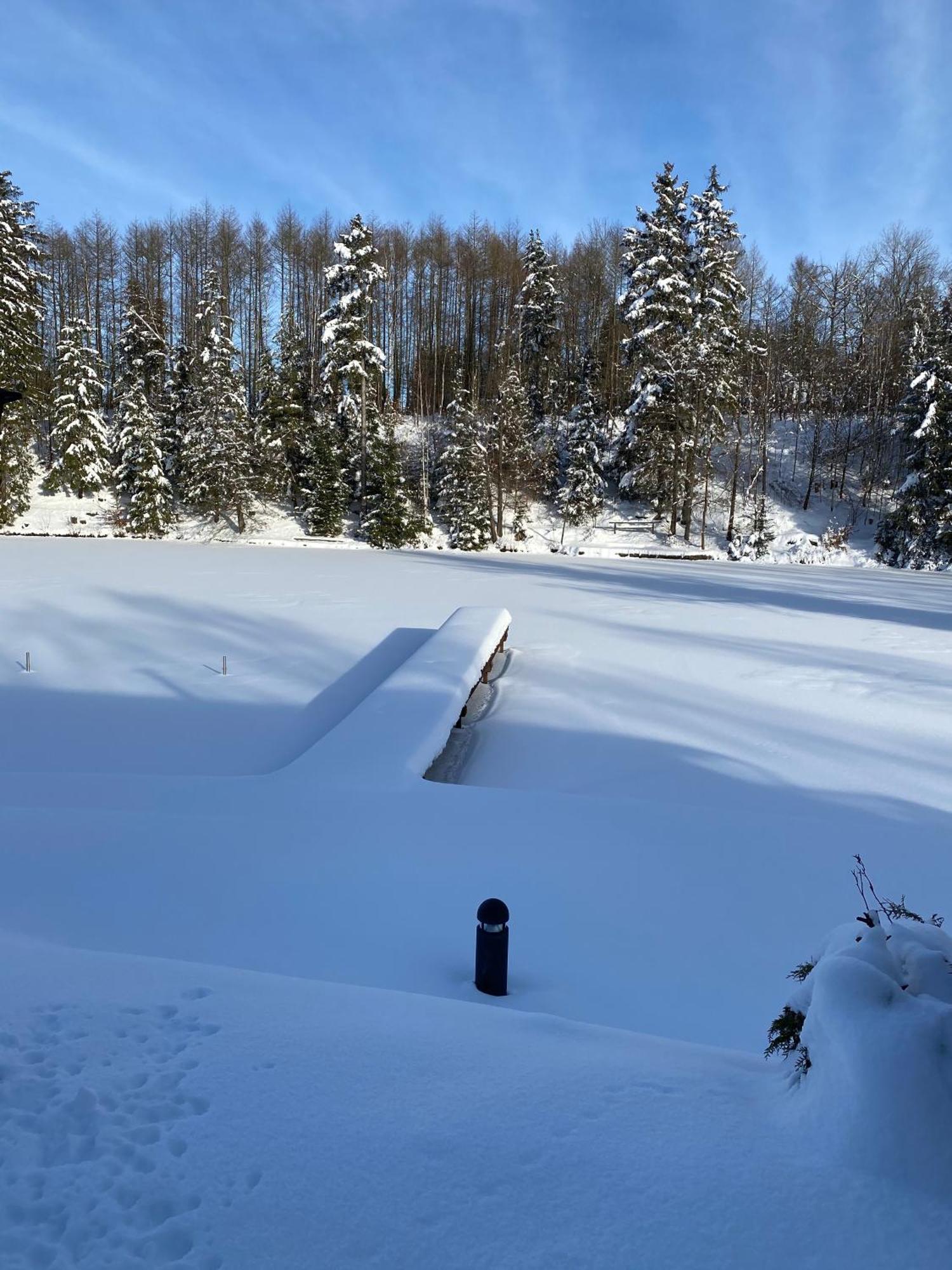 Das Waldseechalet Maerchenhafter Waldseeblick - Moderne Wohnung Mit Infrarotsauna Hasselfelde Exterior foto