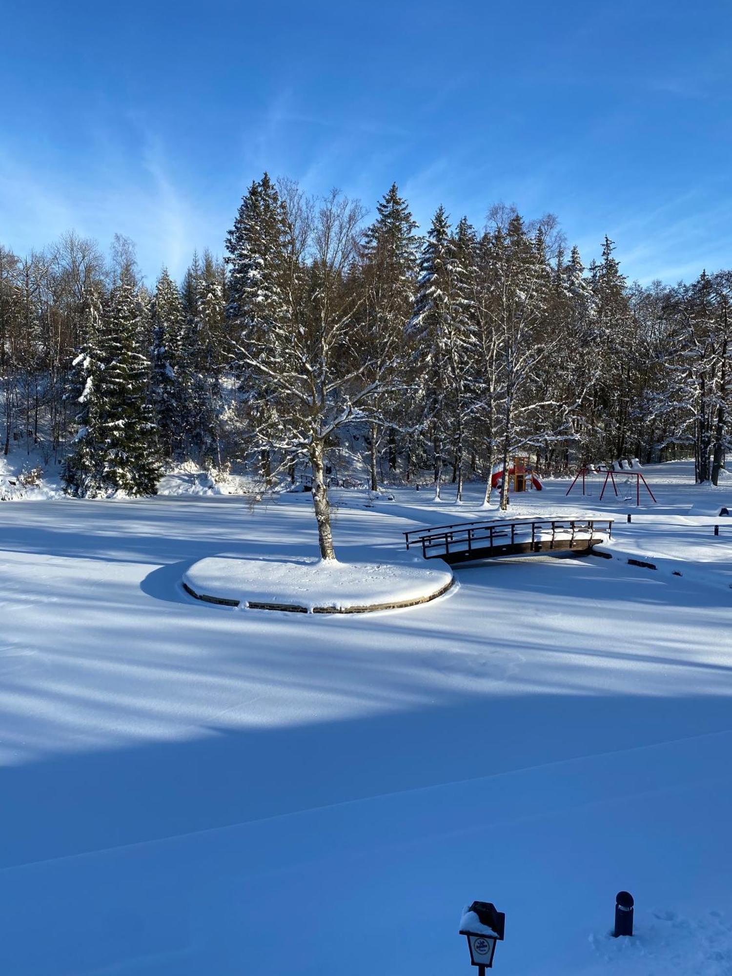 Das Waldseechalet Maerchenhafter Waldseeblick - Moderne Wohnung Mit Infrarotsauna Hasselfelde Exterior foto